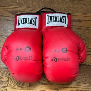 Adult Everlast Red Boxing Gloves